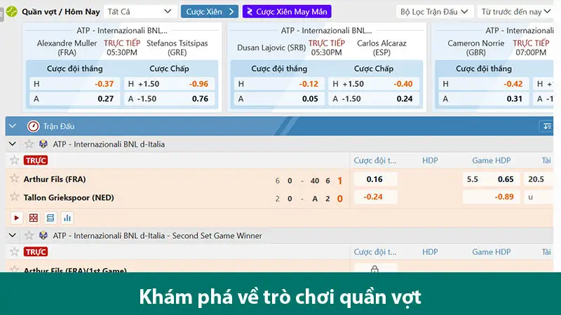 Chơi cá cược quần vợt và tìm hiểu các loại cược trong trò chơi
